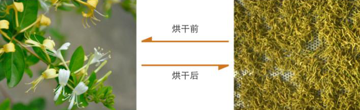 微信截圖_20170725105644.png
