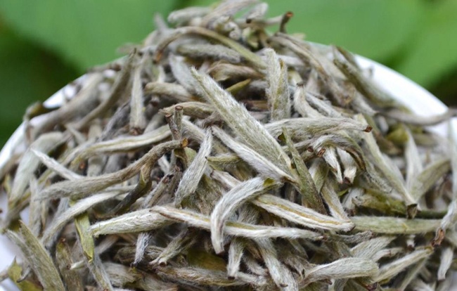 白茶