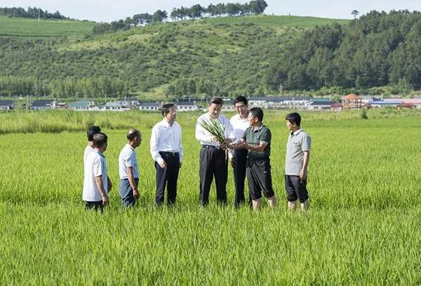  中央高層重視糧食安全，熱泵烘干市場(chǎng)未來(lái)可期