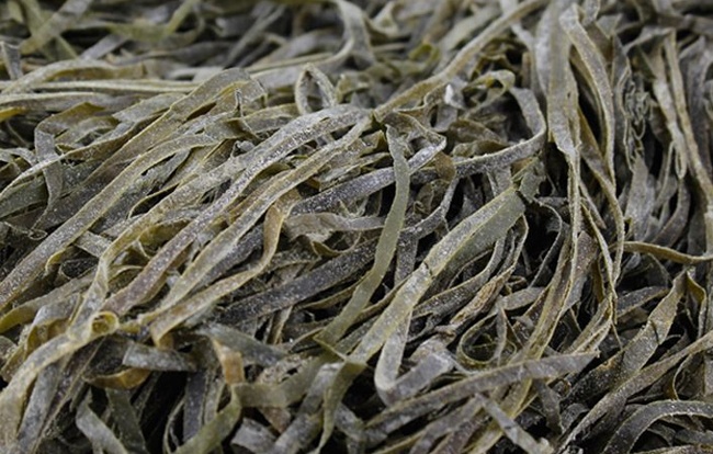 海帶絲烘干