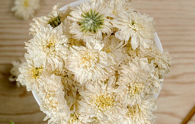 白菊