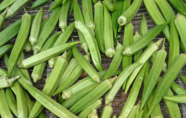黃秋葵