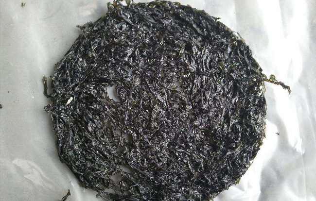 紫菜烘干