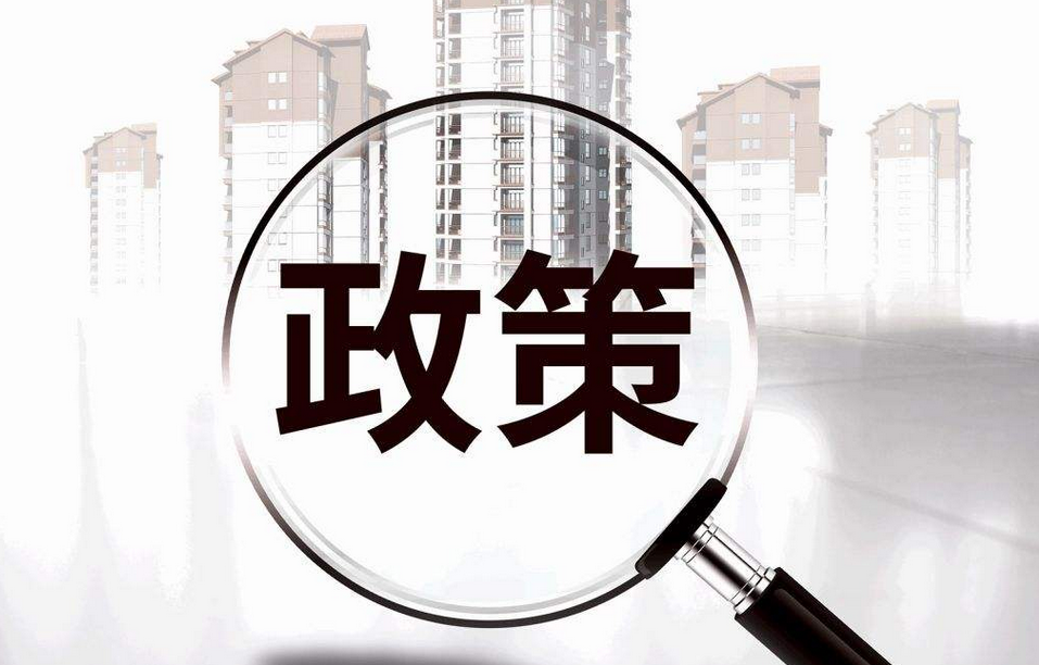 政策