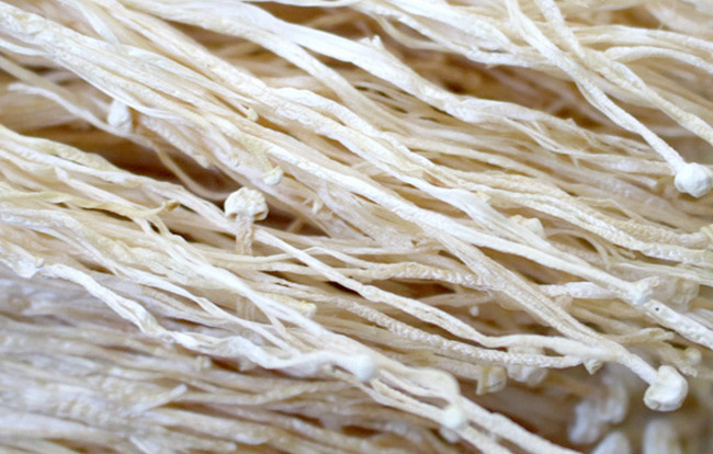 金針菇