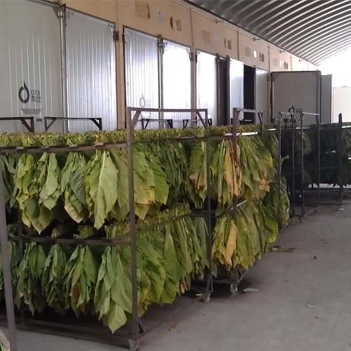 煙草烘干工藝